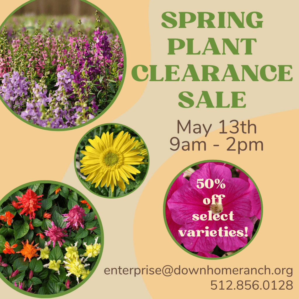 http://www.downhomeranch.org/wp-content/uploads/2023/02/Spring-Clearance-Plant-Sale-1024x1024.png