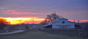 Down Home Ranch, Barn, Down Syndrome, Texas Sunset