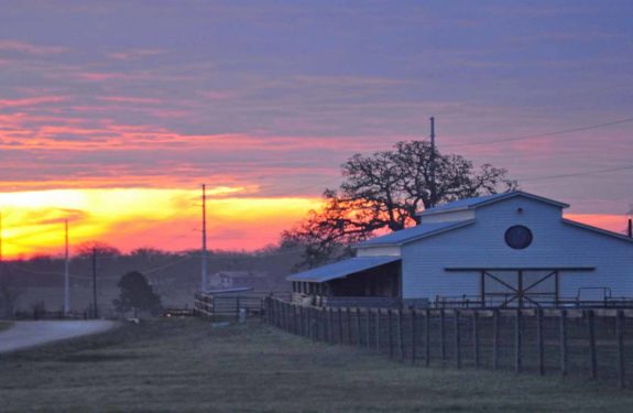 Down Home Ranch, Barn, Down Syndrome, Texas Sunset