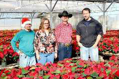 newsevents-courier-poinsettias-2014