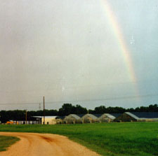 Down Home Ranch Rainbow God Down Syndrome