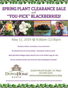 spring plant clearance sale and you pick blackberries
