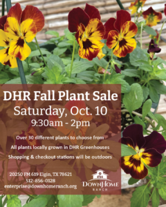 Plant Sale at Down Home Ranch on OCtober 10 from 9:30 